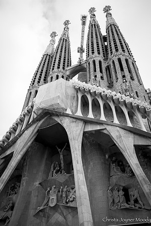 IMG_3358