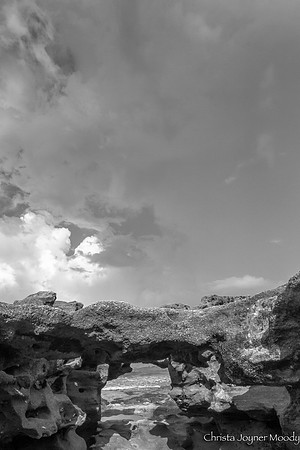 IMG_5477