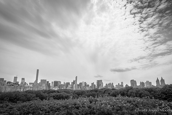 IMG_9343