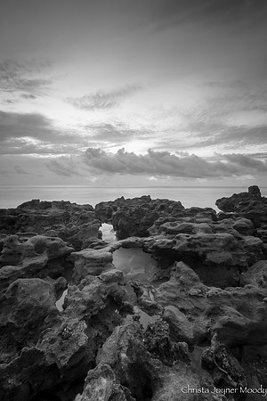 IMG_5861_1