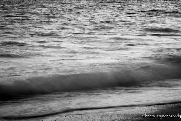 IMG_4335
