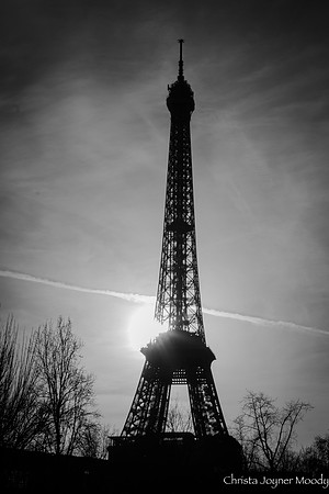 IMG_0417