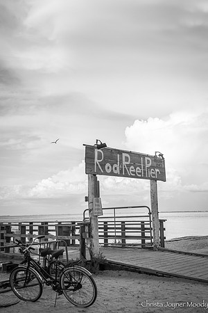 IMG_3667