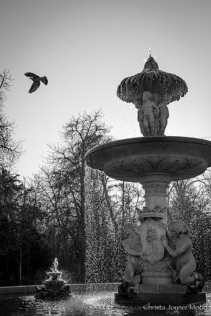 IMG_3097
